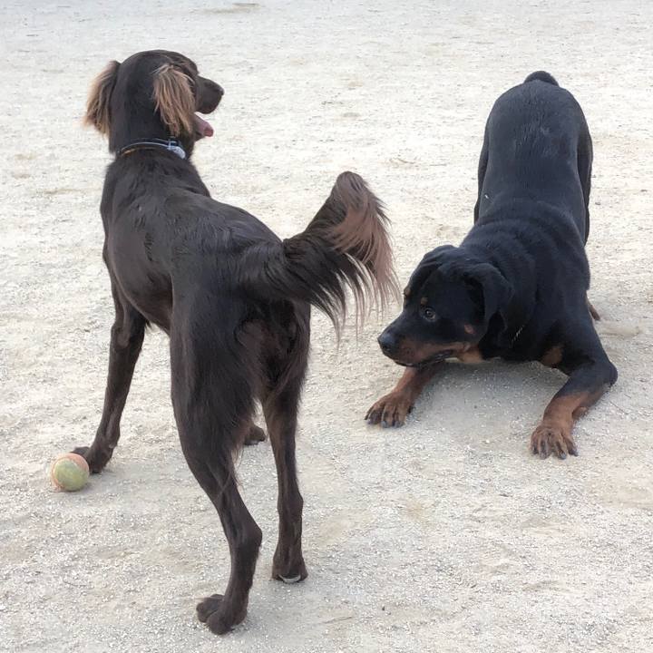 C609b6b3 0dcb 4591 af05 483061414551 1581207609472