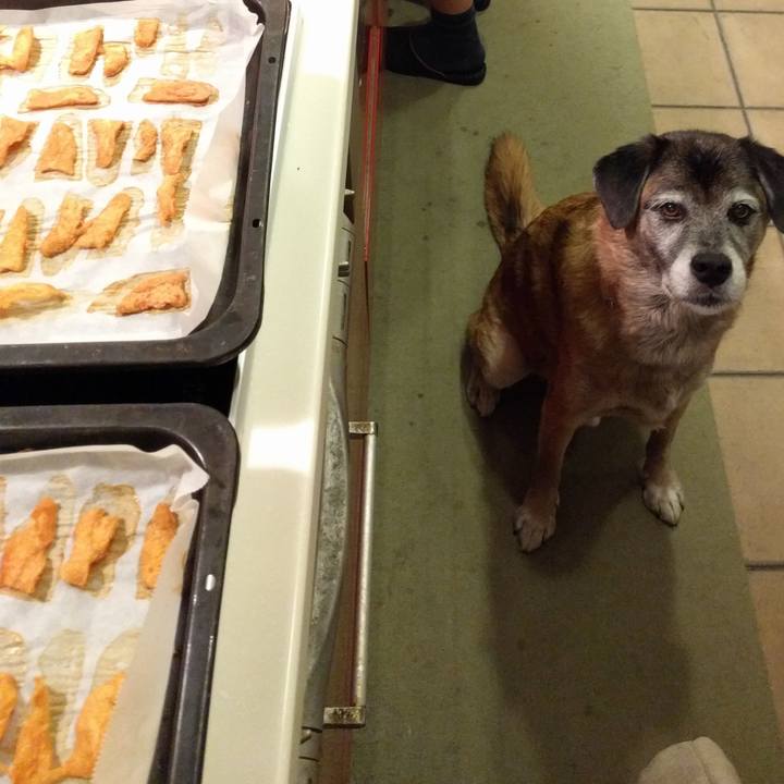 C60a230b c1bf 466d a87b af50f529ed54 1539003833128