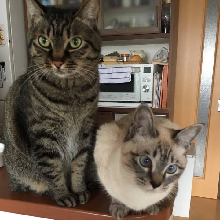 C60a4535 3e9f 4589 881c 15b7322b3dc9 1550541789687