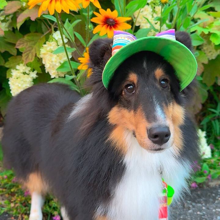 C60a58d8 c3fb 477d 8986 a2f40c51192b 1749651911105