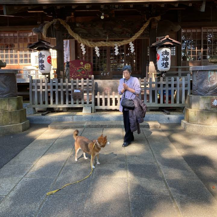 C60aa166 d6e0 406a a7d9 976f1413f84b 1636085029612