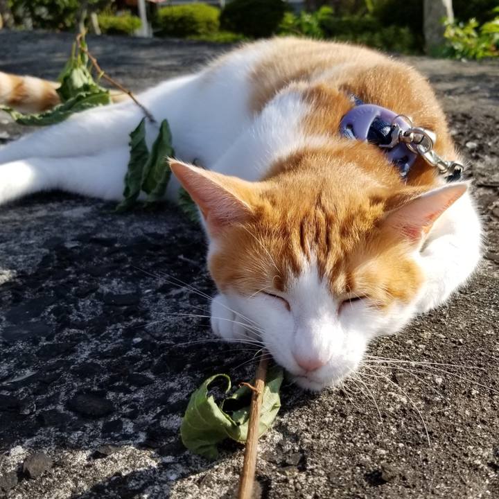 C60aa281 9155 45a4 82ce f21bbd23d1c3 1534301913541