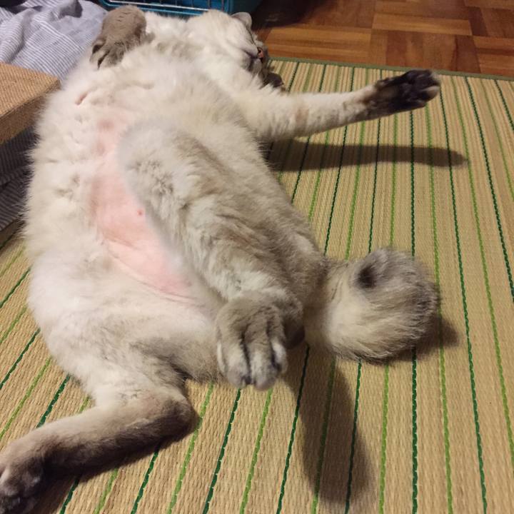 C60aad21 d2ec 4886 80c6 d70fb9a07052 1531481453296