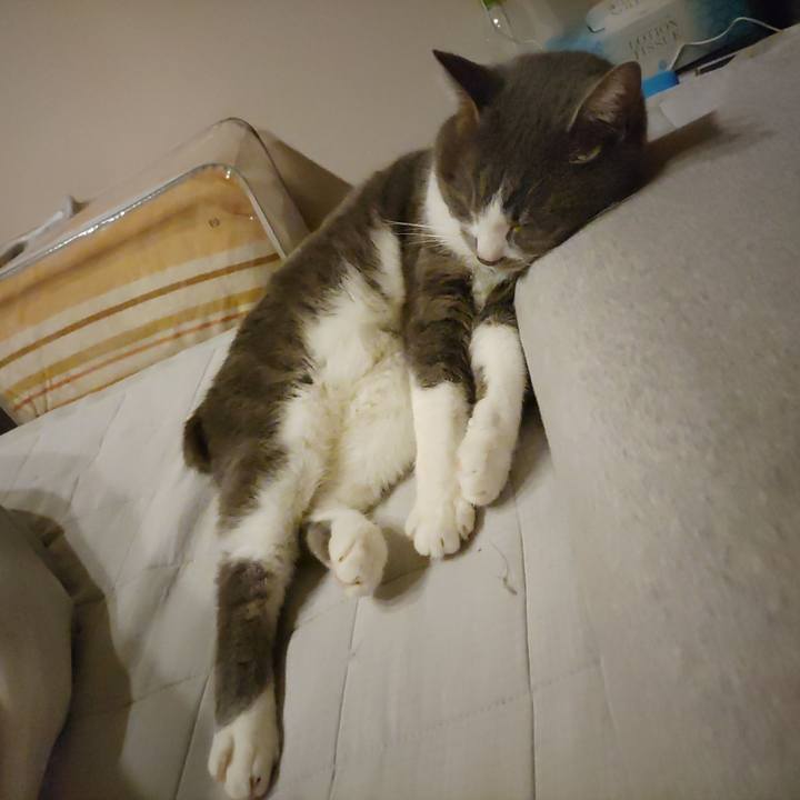 C60b00b7 9558 4cb4 b811 94cd4f14ab01 1682863589399