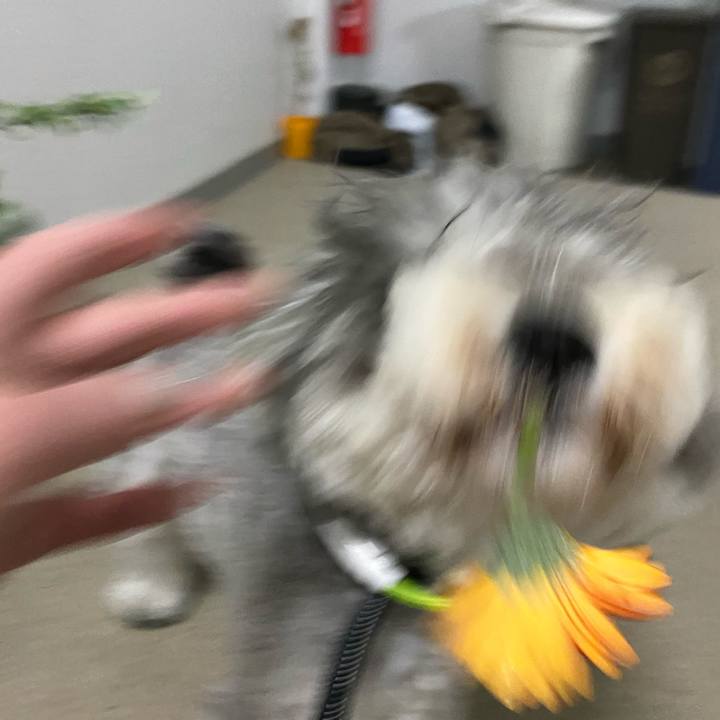 C60b1925 7756 484d add7 172fb18732fb 1616177450354