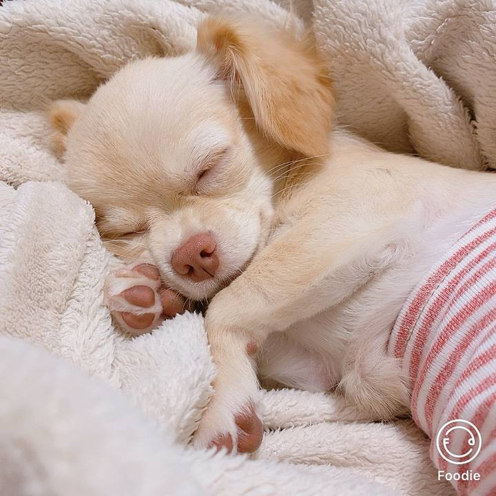 C60b4a8c 39fb 4d07 a2ea 02d6527c5052 1598167484795