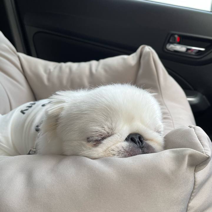 C60b9cdc c750 45ac 86ef c860f34b3326 1666673379149