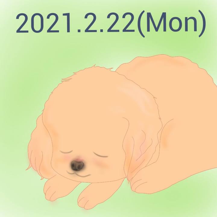 C60bb772 d7f4 4b2d a5a9 1669cc89335f 1614003532771