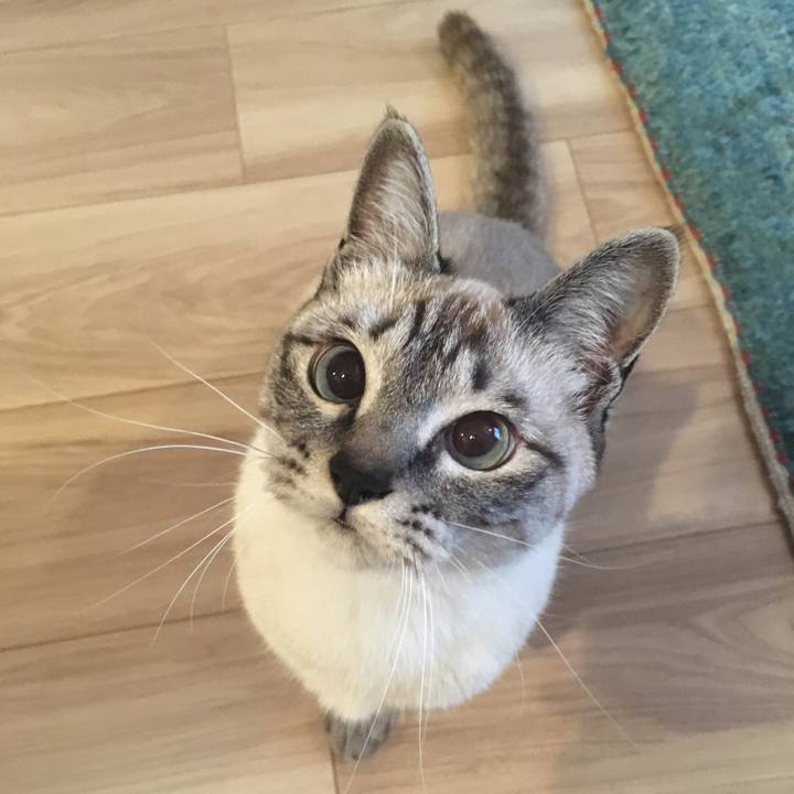 C60be980 4b43 4eb5 aead 4603491a2df9 1554854514398