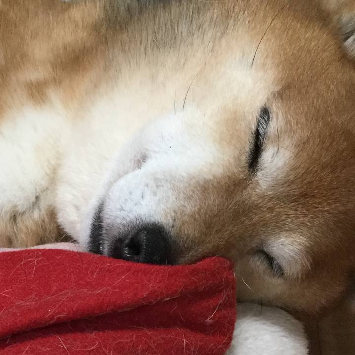 C60c245f a66d 4e0d a410 45e635871169 1583812323034