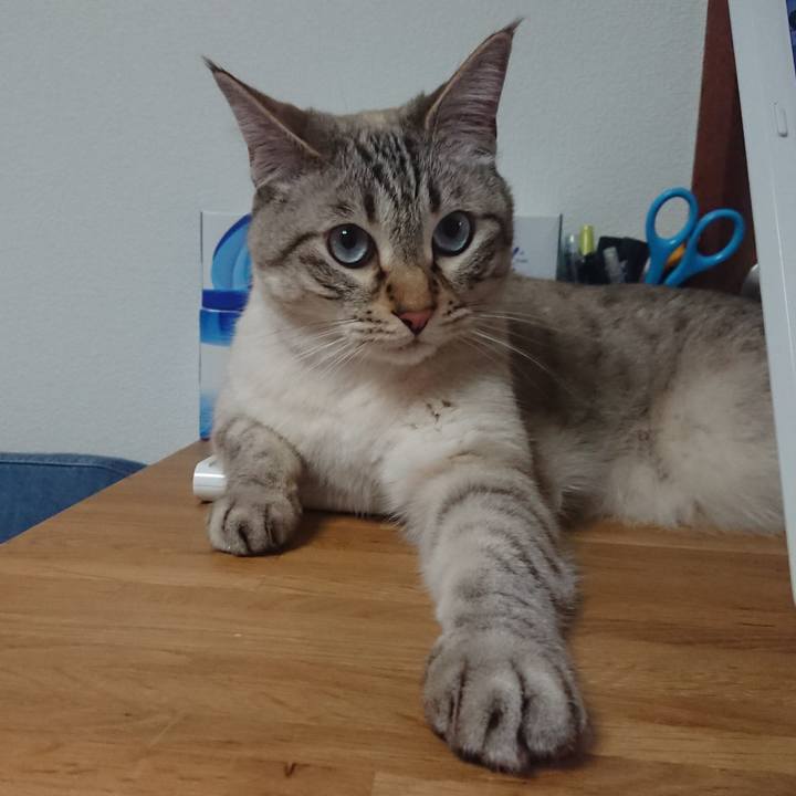 C60c5dd1 a33d 44ab a384 4db1a9a0b459 1591697747111