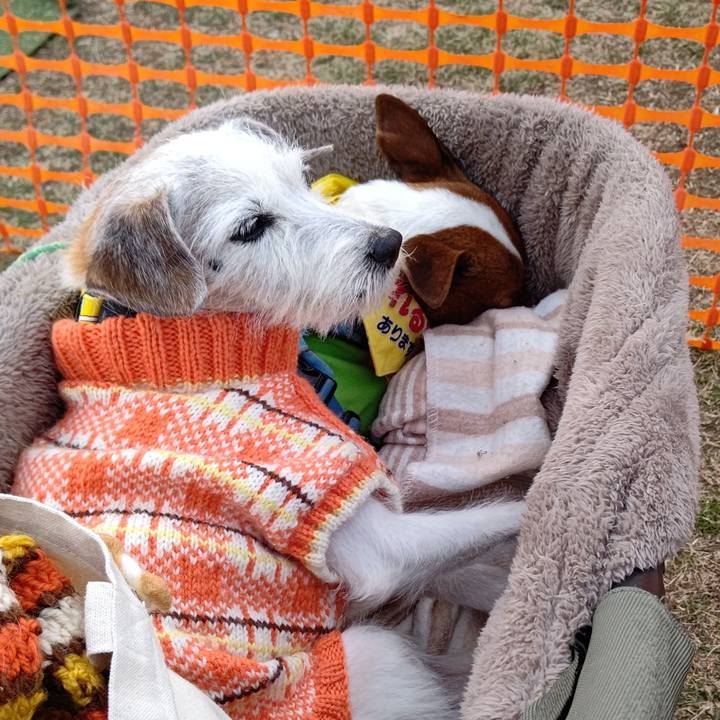 C60c6957 3a02 4289 8d09 d9ff9e8911f0 1641805301822