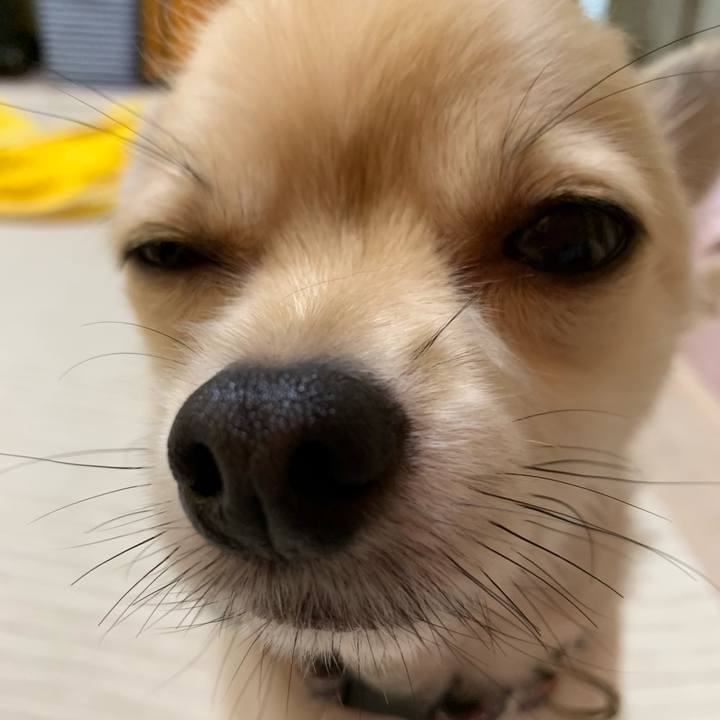 C60c98f8 ae4b 4190 ad97 9594f6991a72 1568066672552