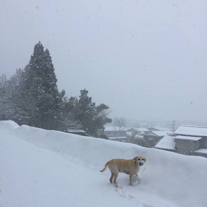 C60cd2b0 0b7a 48a8 a2e4 09f16dbe1b8d 1579352658517