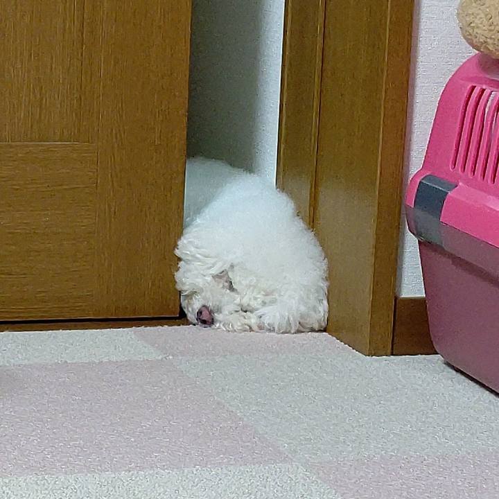 C60cd5cc 1c0a 4377 a355 3963aca07b49 1592741581437