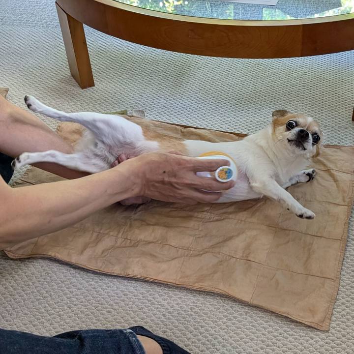 C60cd8d3 dbe8 4a78 a4fd 1f80ac0b67a8 1753519873252