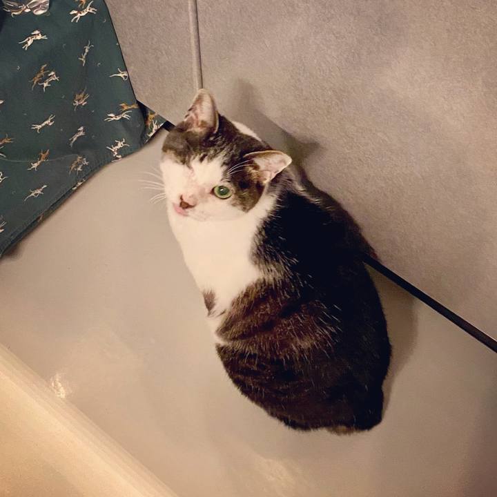 C60d0116 ec22 4b09 92c6 4d8f45987bee 1619098050696