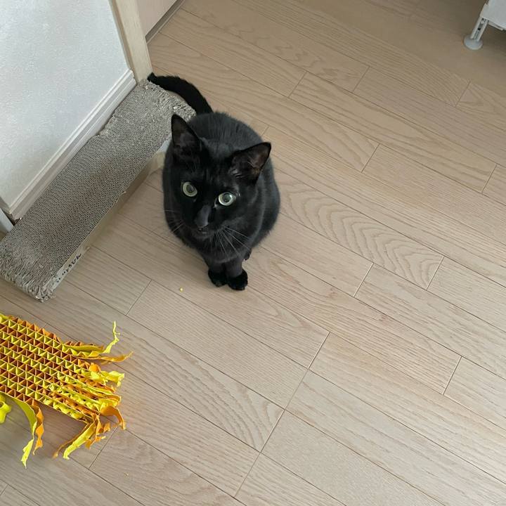 C60d0cf7 3e8a 4a49 ba28 a57dc8a55441 1680398485828