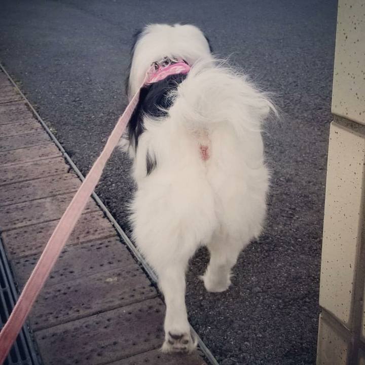 C60d2420 a415 4a41 895f 8bb84e242cf9 1520078655971