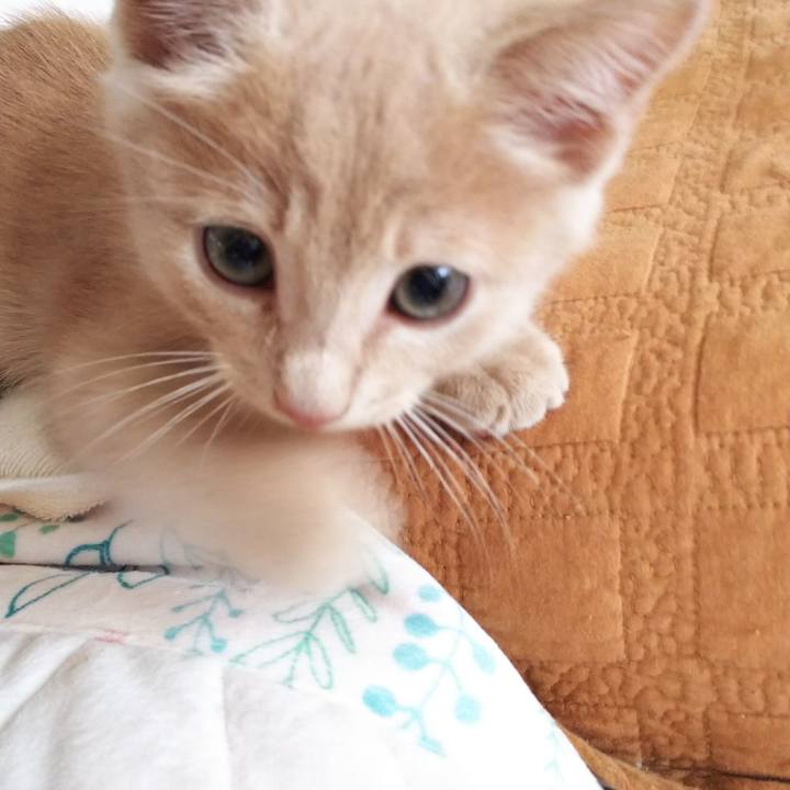 C60d275a cf42 4e82 94be b522dbf2bdf3 1540561888697