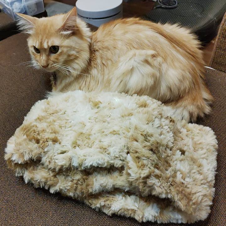 C60d391f 693f 4674 8464 f37547e2c603 1666527959680