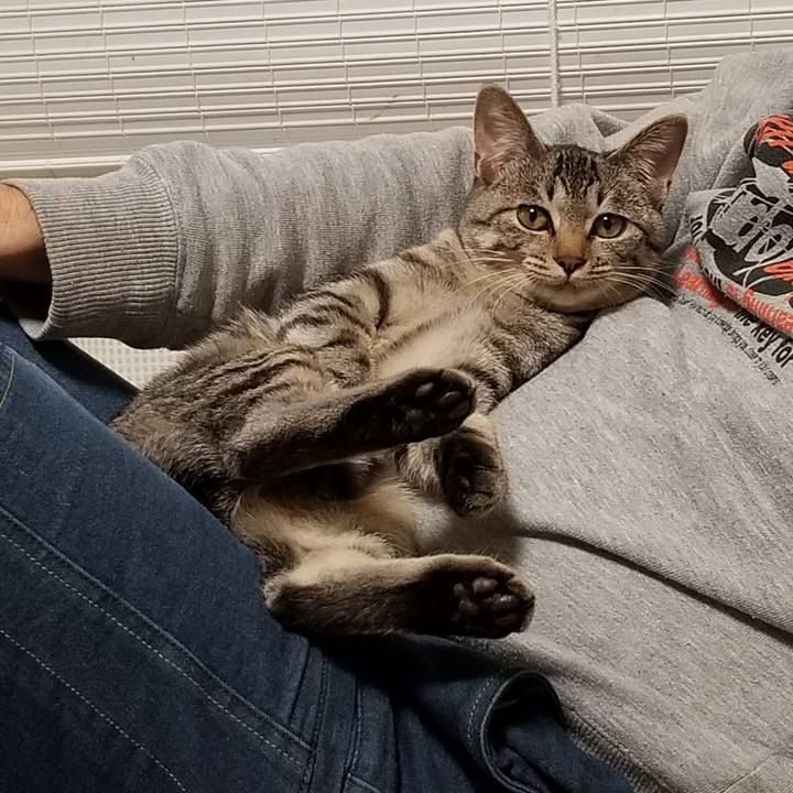 C60d4299 7f3c 4ad5 bf03 afb7b3c7495e 1670717973198