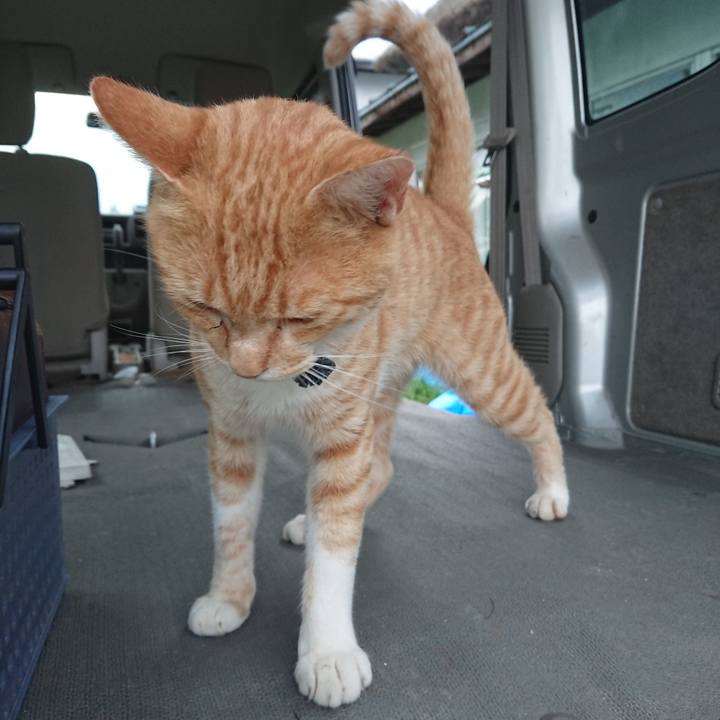 C60d722d e374 4579 acbd 2e089fd8f0d7 1564131710034