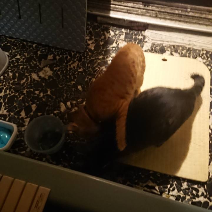 C60d89fd b34d 4cf1 8305 b5c2bb8cd739 1643364631740