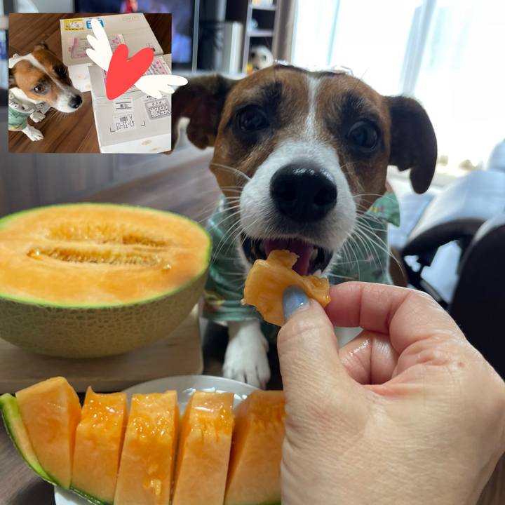 C60da02a 036c 44a1 9336 e094744b42d2 1692589706389