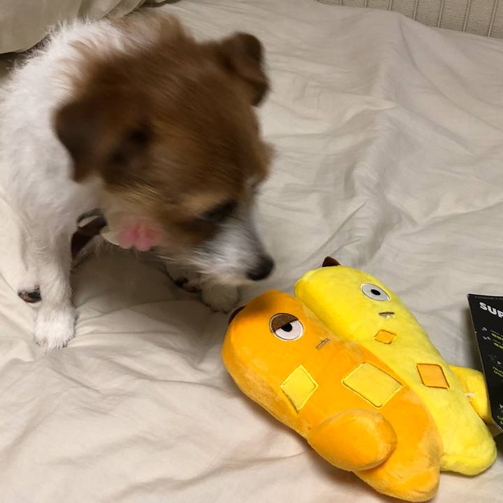 C60dd94a 2f1f 451c 8957 afdb43af0e0f 1542541062844