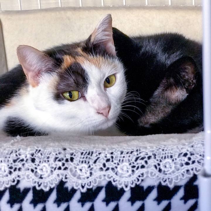 C60e24db d50e 4c2f 875d b43905fcaf9c 1509982512893