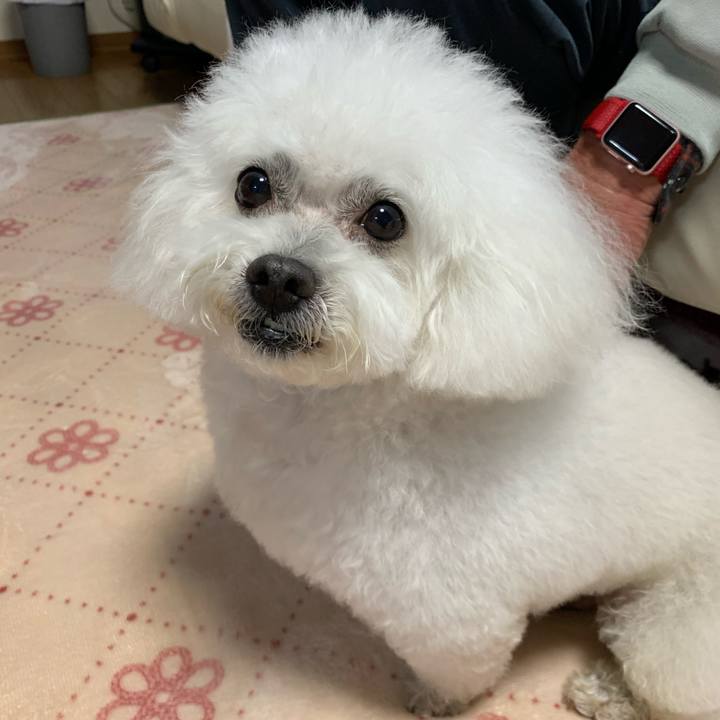 C60e2b4b 4b2f 4cf3 86e1 f030e45f6850 1614940765021