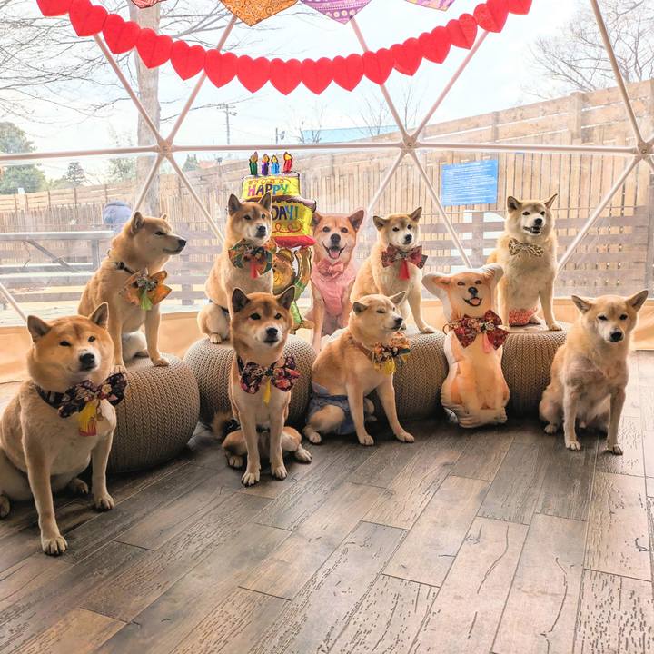 C60e48af 8ff9 4008 894a 221cf97f6413 1706668733533