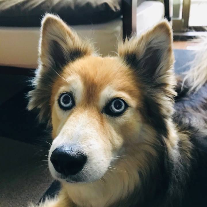 C60e4c8f 79a9 4ac4 8942 2f46316082b5 1591340395034