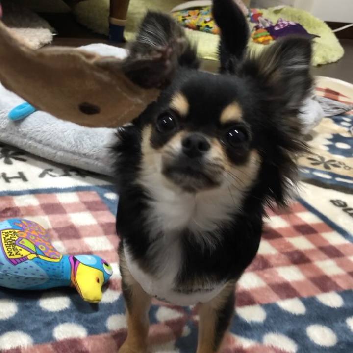 C60e70c7 05a4 4c5e 9639 80616712bc4f 1548828097565