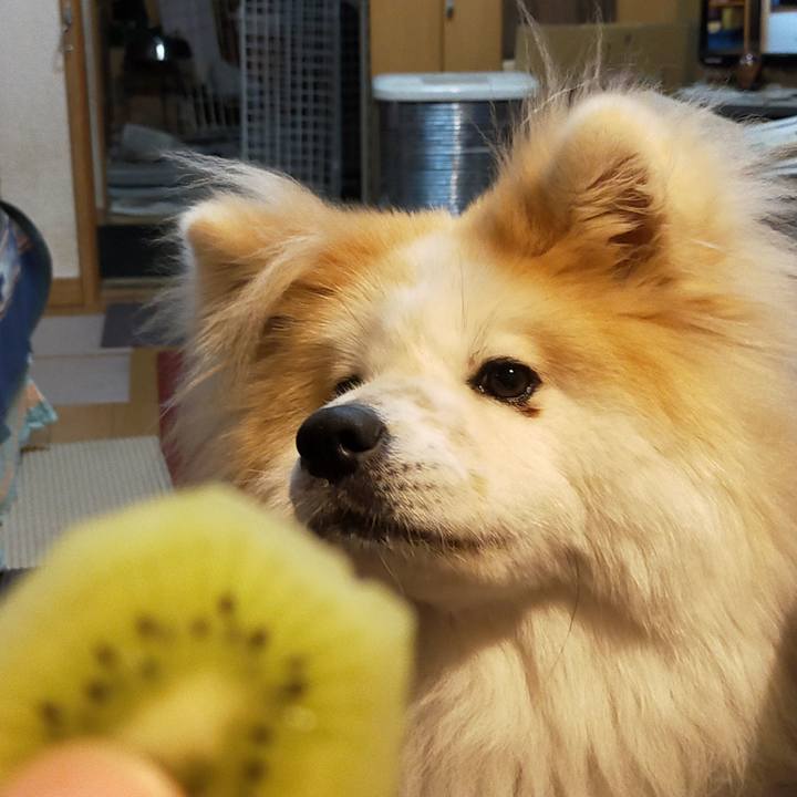 C60e92eb cd0a 4f3e b7cb 9b07e70b6daa 1620131310747