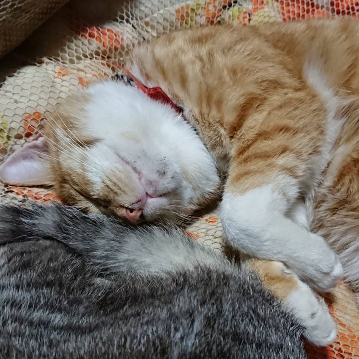 C60ecd16 ccbf 41c5 b442 ede5e285584f 1571580000166