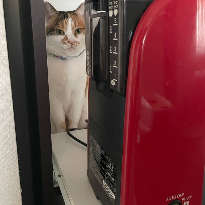 C60ee5e0 15c2 4e4e 8665 f8723d7be283 1706225849209