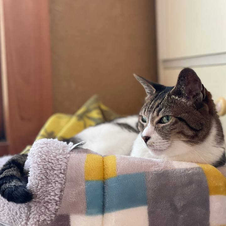 C60f0ae2 abc6 4556 92f4 2671e1b37464 1620266049091