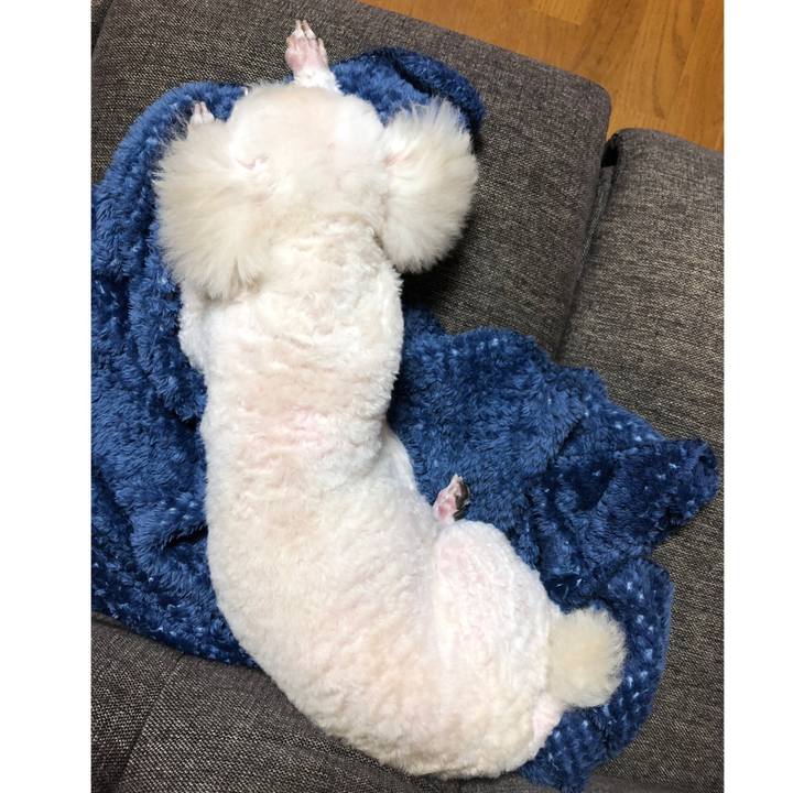 C60f2957 db9f 4207 9ccc 9789edaa108c 1540767269568