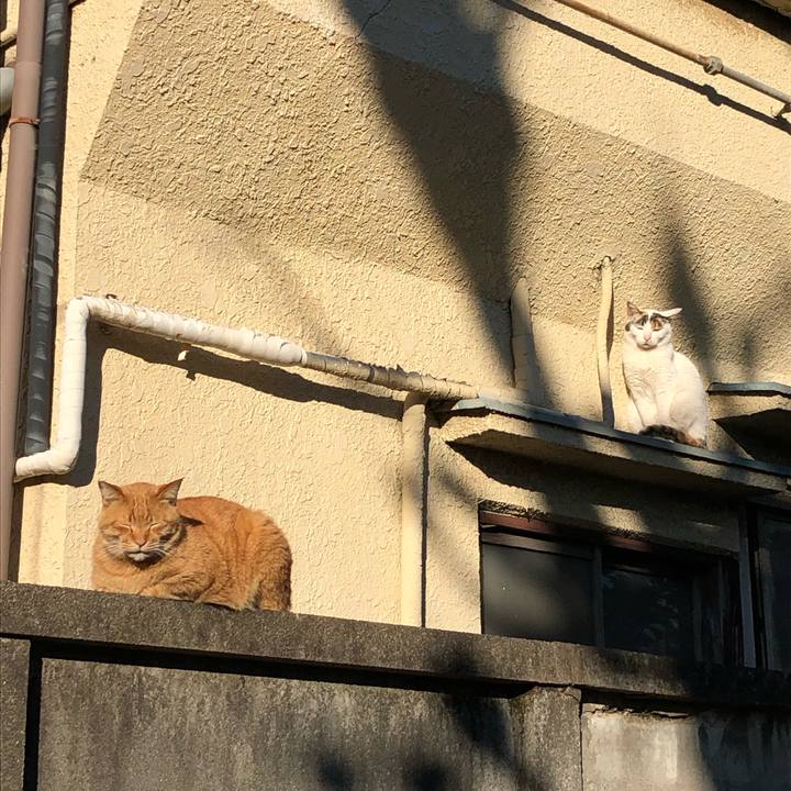 C60f7245 1d69 4d0f 817b 4dd1af5a3d88 1544859687038