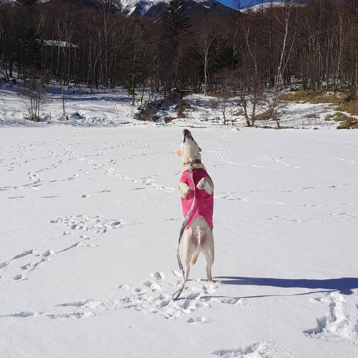 C60f7b6c f38f 4641 9595 b123869660e0 1673417442613