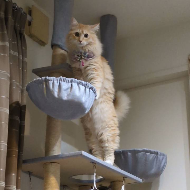 C60f838b d971 4464 85d2 b724ab3ddfc7 1756818344748