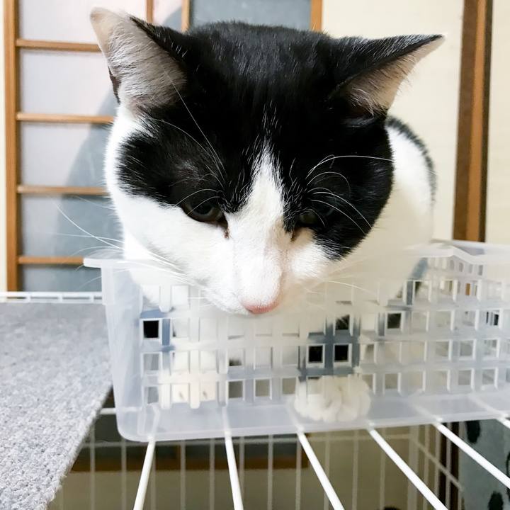 C6100459 8047 481c b784 c6304e318c7e 1513213185117