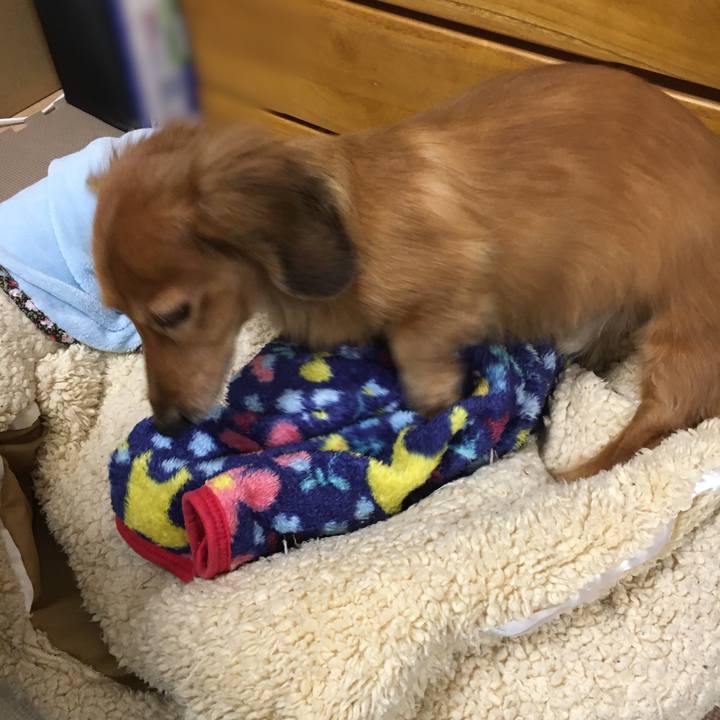 C61034d6 187a 41e9 b485 07a0c6caefb4 1582035026092