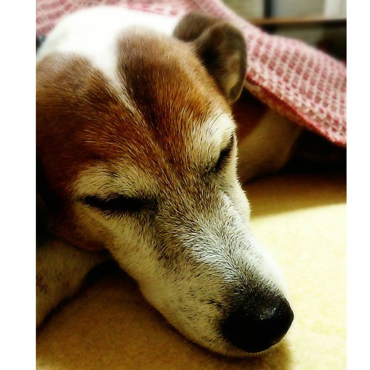 C6106f76 b26f 4deb 9918 688224895c2a 1508582361475