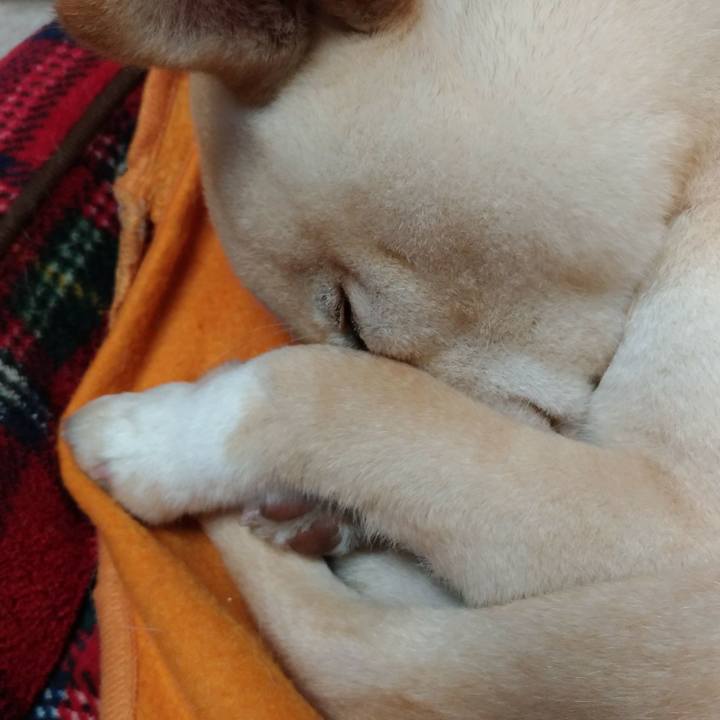 C610c11b 618e 48d5 b416 03606518f5c9 1519995091174