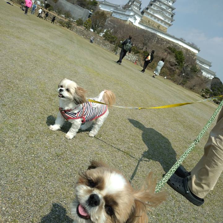 C610c85f 8112 4dc5 913f 8d067f6c9bfb 1742536619029