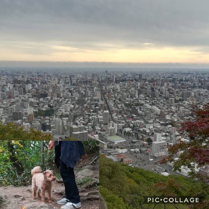 C611055c 2b11 473d a9ff 74b180f77297 1569726516533