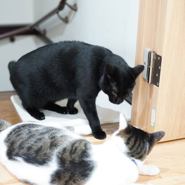 C6111425 4b44 47b5 a735 de5e1dc5783e 1535587943800